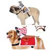 Factory Direct Horse Riding Costume For Pets Cosplay Knight Costume For Dogs