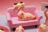 Japan Zakka New Green Sofa Japan Decor Bookshelf Decoration Collectible Home Decor Resin Craft Japan Ornaments