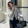 Ladies Down Padded Jacket Lapel Fashion Joker Winter Coat Temperament Korean Women Outwear