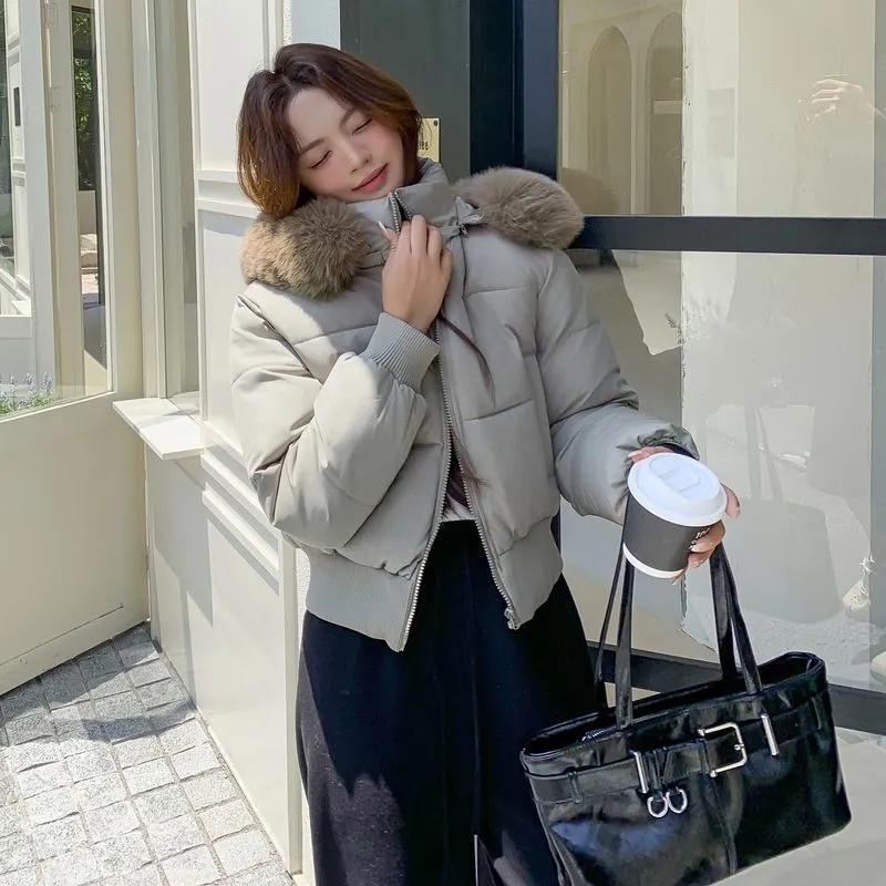 Ladies Down Padded Jacket Lapel Fashion Joker Winter Coat Temperament Korean Women Outwear