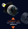 E - Autofun - 12 V Dedicated LED Headlights, America Bridge Lux COB Chip