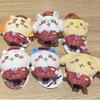 Usagi Chiikawa Small Foot Plush Toy Cartoon Animal Collectors Edition For Kids And Fans