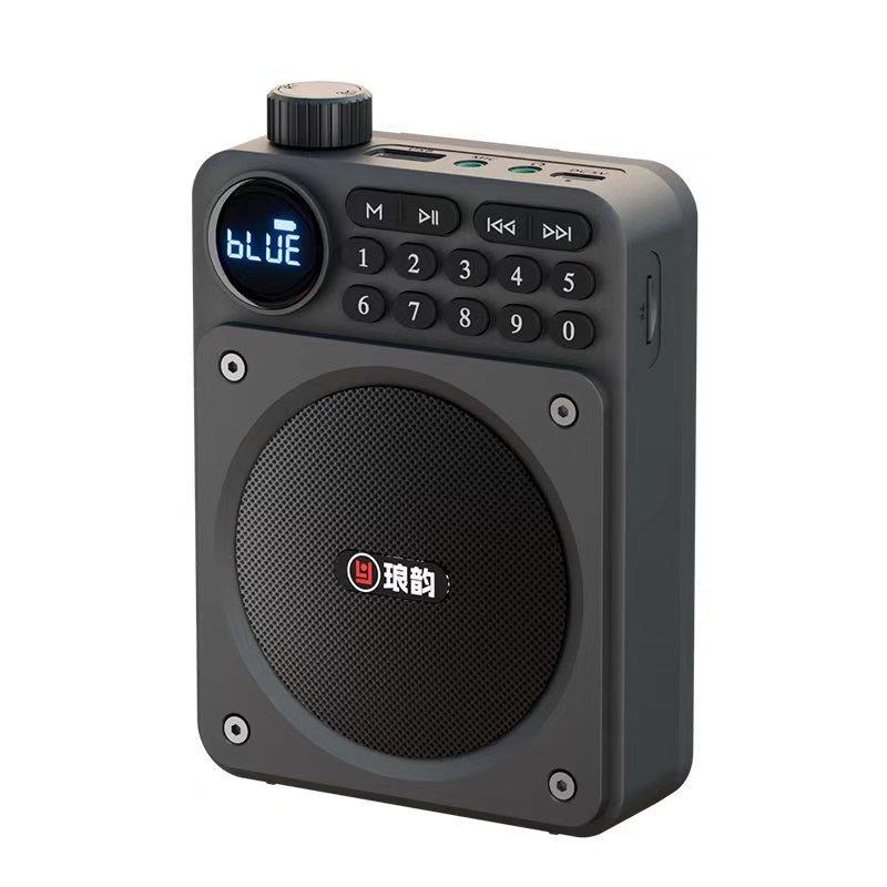 Mini Digital FM Radio HD Display 76-108mhz Radios Wireless Bluetooth 5.3 Speaker Portable Voice Amplifier with TF Card USB Slot