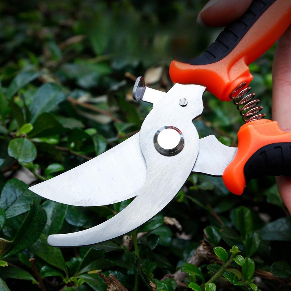 Professional Labor Saving Garden Pruner Scissors, 30Cr13 Stainless Steel Clippers for Fruit Tree Trimming & Grafting