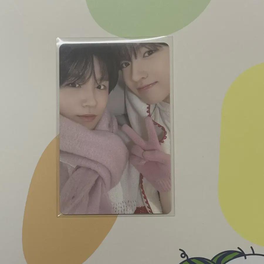 Nct Wish Sakuya/jae-hee Photocard