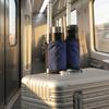 Hands-Free Design Suitcase Drink Bag Portable Storage Travel Drink Carrier  Travel Essentials