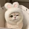 Pet Fashion Comfortable Bunny Ears Cat Hat Velcro Adorable Pet Accessories Lightweight Cat Cap For Cats