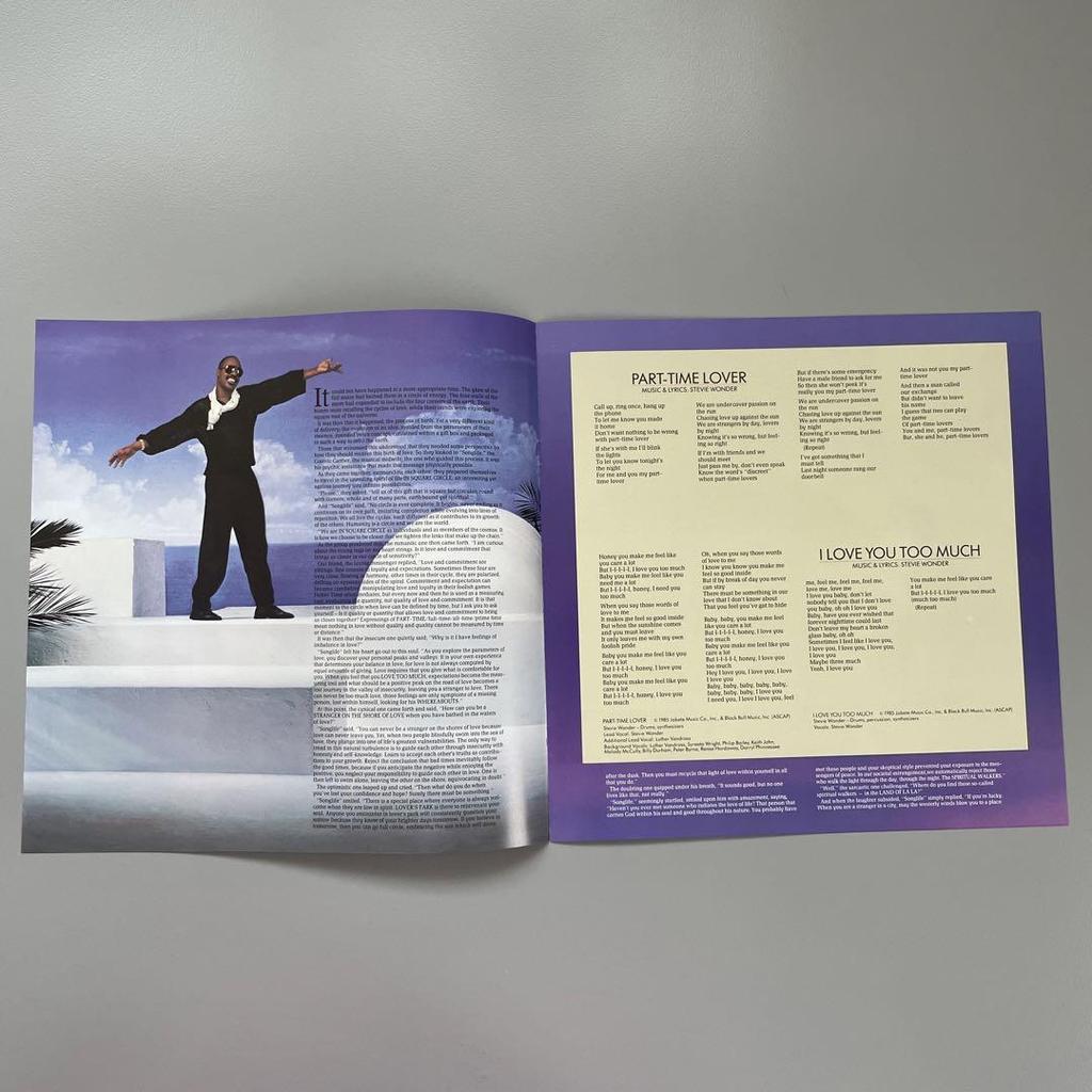 [USED] STEVIE WONDER Japanese LP with Obi IN SQUARE CIRCLE