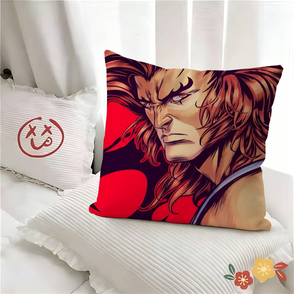 pc ThunderCats Classic Cartoon Pillow Case Fashion Square Pillowcase Bedroom Sofa Room Ins Decoration Leisure
