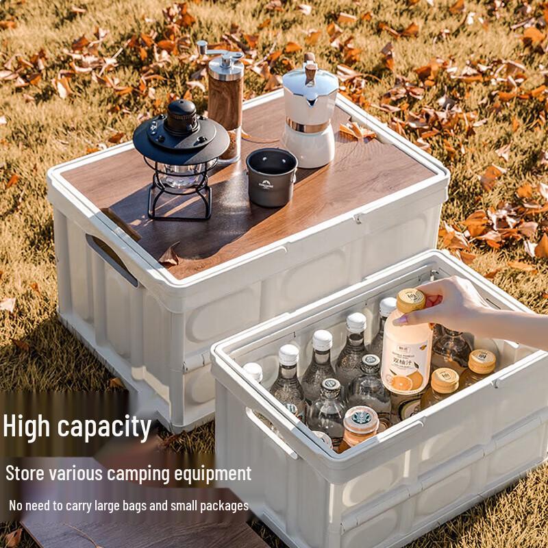 Waterman Folding Outdoor Storage Box