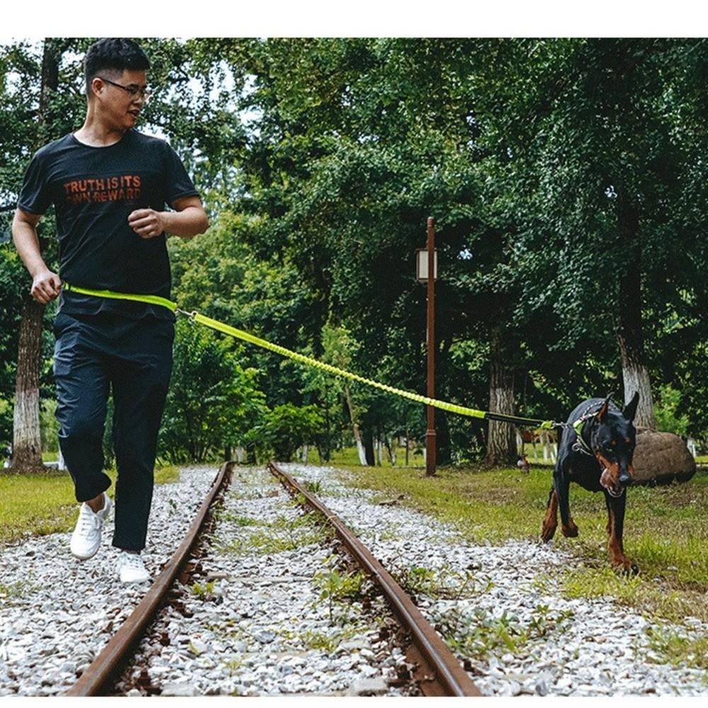 Reflective Pet Walking Leash Double Stretch Hand Free Dog Leash Dog Traction Rope  for Dogs Cats