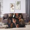 The flannel blanket from the TV series "The Vampire Diaries" is suitable for sofas living rooms offices bedrooms and travel