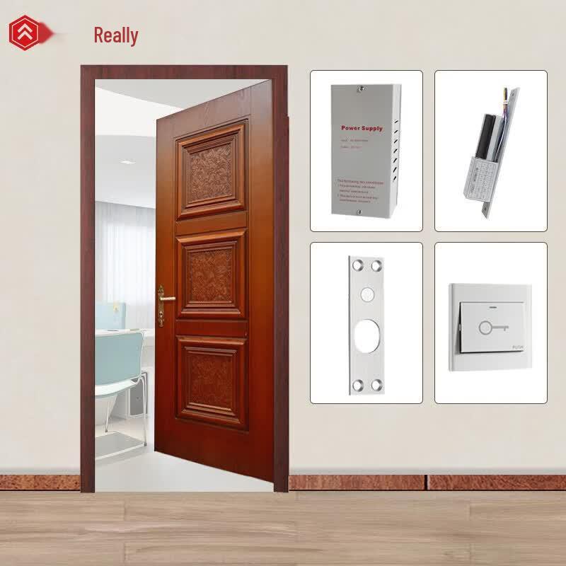Realand S01D Electric Bolt Lock Single Door Access Kit CN plug (adapter included)