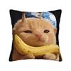 Pillow Case Space Banana Aliens Cat Square  Pillow Cover For Couch Sofa Bedroom Novelty Pillowcases