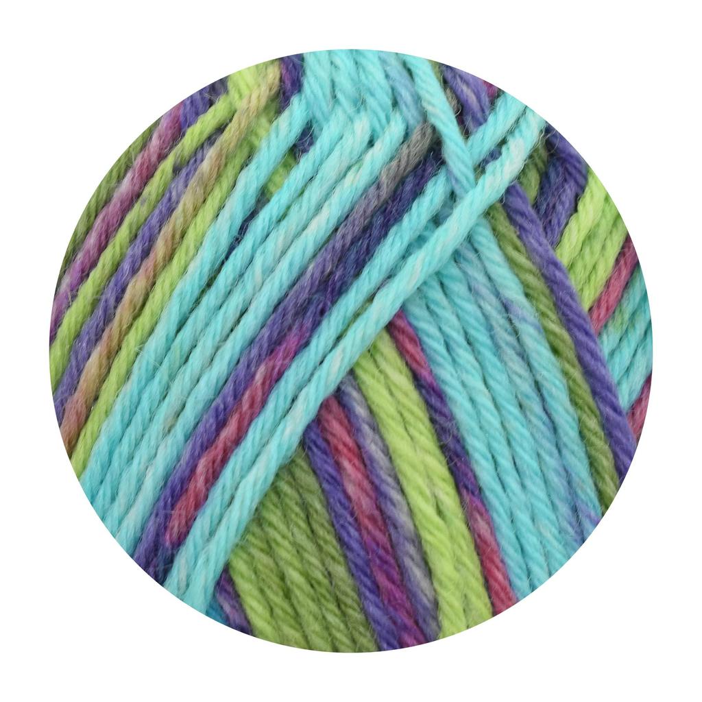 Пряжа шкарпеткова Opal Sky 6-шарова "Фантастична 11220"