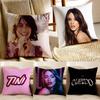 T-tini-es Pillow Case Anti-dustmite Invisible Zipper Sofa Bed