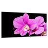 Glass Stovetop Protector 90x52 Orchid