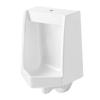 Manual Flush Ceramic Wall-Mounted Urinal