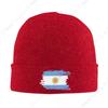 Flag Of Argentina Bonnet Hats Hip Hop Knitting Hat For Men Women Autumn Winter Warm Argentine Proud Skullies Beanies Caps