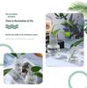 Transparent Glass Vase: Home Desktop Flower Arrangement Decor