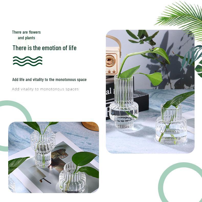 Transparent Glass Vase: Home Desktop Flower Arrangement Decor
