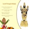 Lord Tirupati Balaji Gold Plated Idol with Black Terracotta Finish | Balaji Idol for Car Dashboard | Venkateswara Swamy Murti for Home