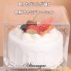 Miaomyao Food Sample Dummy Cake, Fake Cake, Clay Cake, Whole Cake, White Cake, Toy