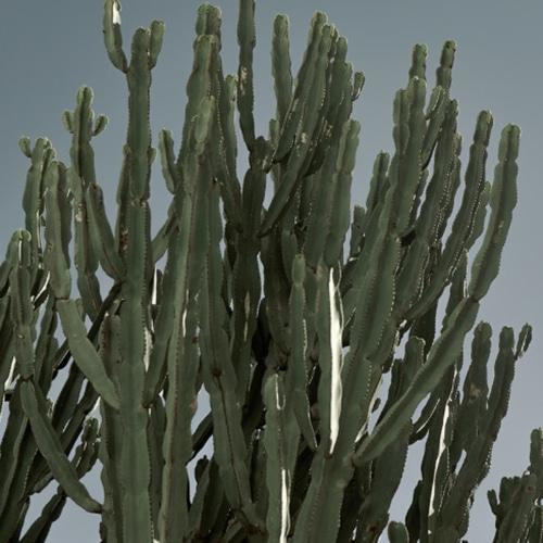 HUXLEY Secret of Sahara Hand Wash 250ml