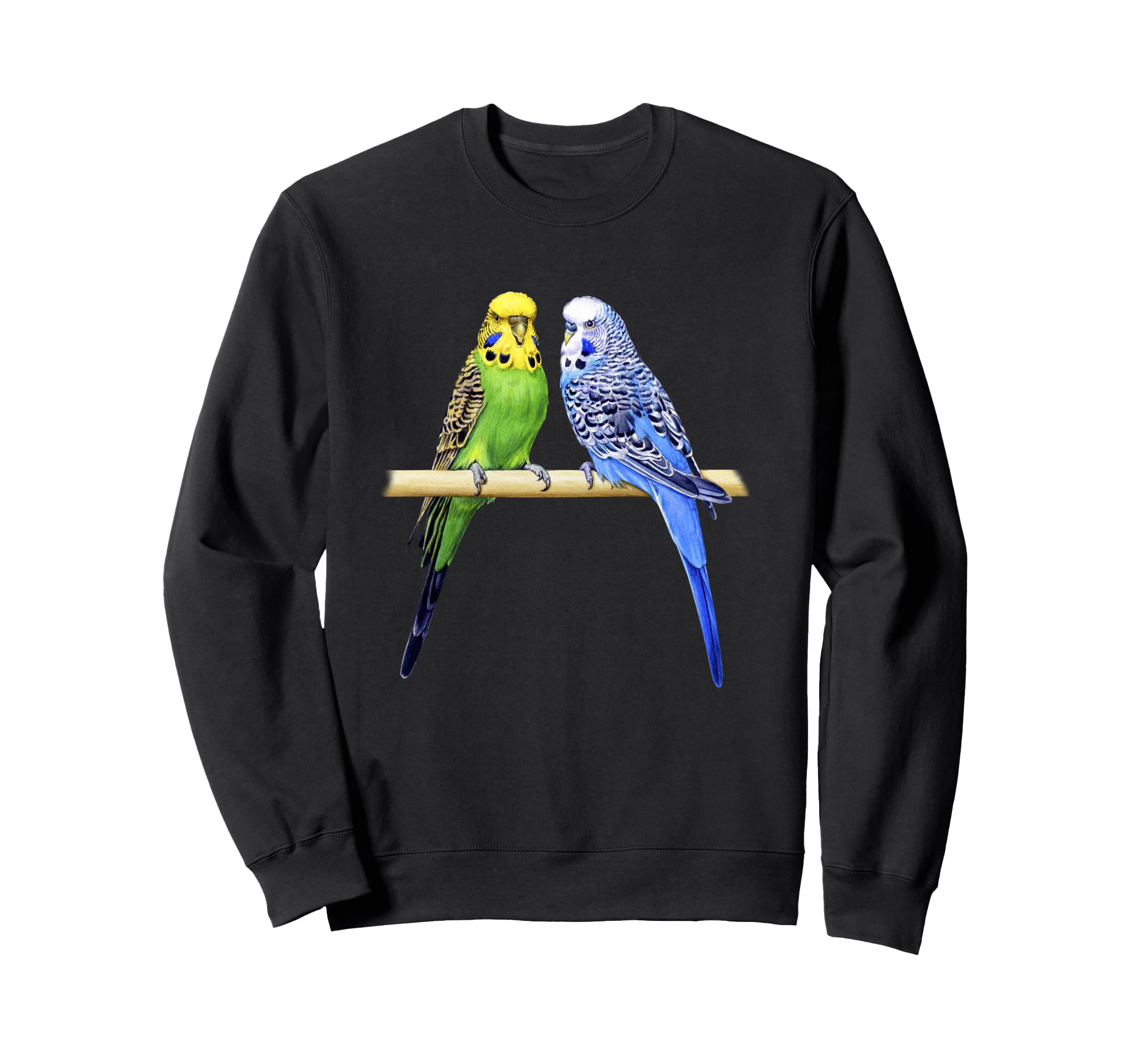

colorful parrots parrot birds bird lovers parakeets trainers чёрный