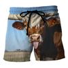 Funny Cows Pattern Beach Shorts Fashion Summer Vacation 3D Animals Printed Mens Board Shorts Casual Breathable Loose Swim Trunks