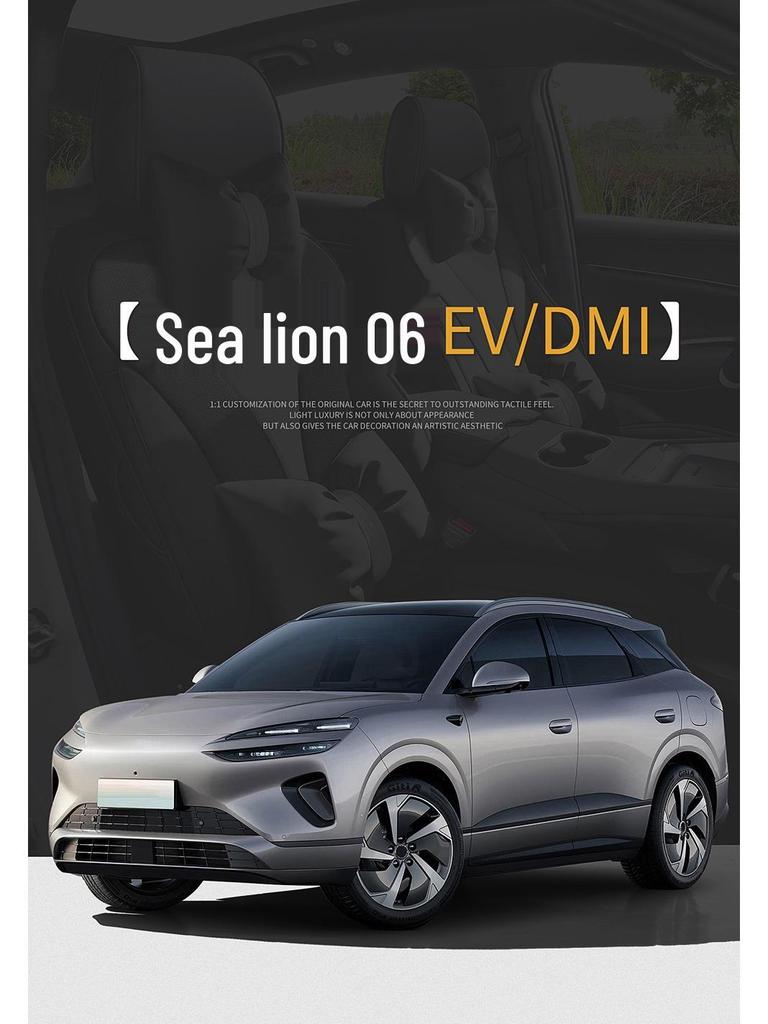 BYD Sea Lion 06 EV/DMi All-Season Leather Seat Covers & Cushions – Full Coverage
