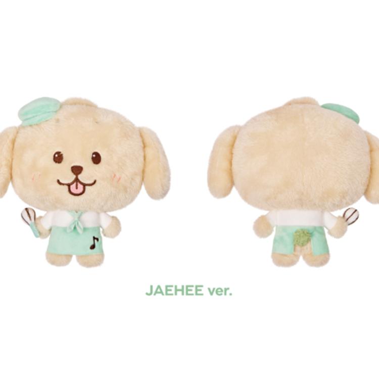 

NCT WISH [Wish Bakery] MD (PATISSIER WISH DOLL) JAEHEE