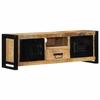 VidaXL Meuble TV 100x30x35 cm bois massif de manguier brut, banc TV, meuble hifi, centre de divertissement, buffet TV, 4013593