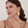 Exaggerated Personality Earrings Temperament Creative Design Sense Geometric Fashion Earrings Versatile Earrings Women