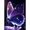 Colorful Pink Purple Butterfly Poster Abstract Glowing Butterfly Wings Print Canvas Painting Living Room Decor Wall Art Pictures