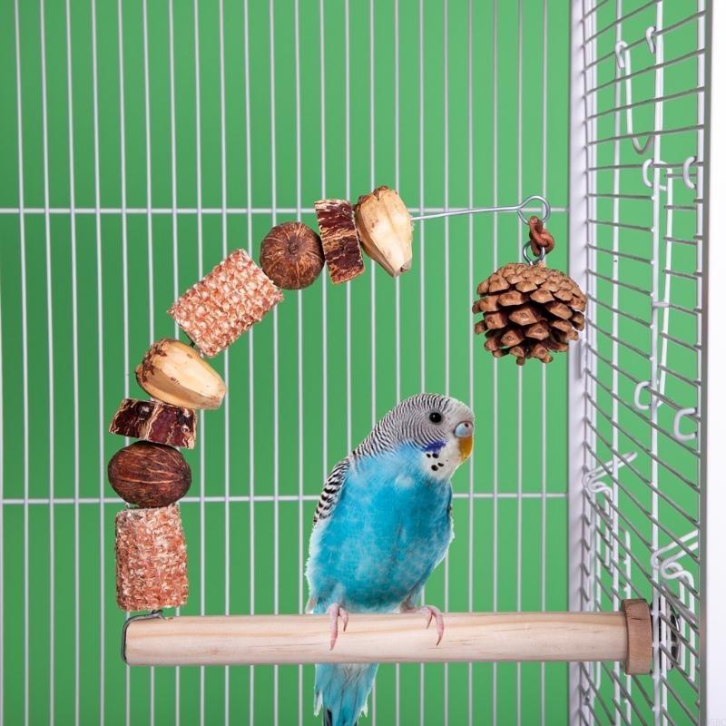Natural Bird Perch Stand Arched Toy For Parrots And Cockatiels Entertainment