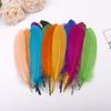 50Pcsdiy Feather Hard Big Floating Feather Wedding Dress Toddler Handmade Decorative Material Mask Feather