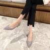 Women's Heeled Shoes 2026 New Style Fashion Versatile Sequined Women's Spring and Autumn Comfortable Pointed-toe Shoes Zapatos