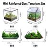 Micro Landscape Plant Terrariums Glass Greenhouse Rainforest Fern Moss Terrarium Ecological Geometric Vase Table Greenhouse New