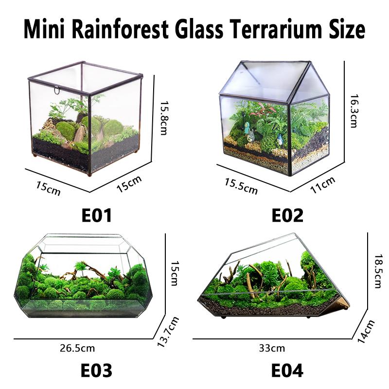 Micro Landscape Plant Terrariums Glass Greenhouse Rainforest Fern Moss Terrarium Ecological Geometric Vase Table Greenhouse New