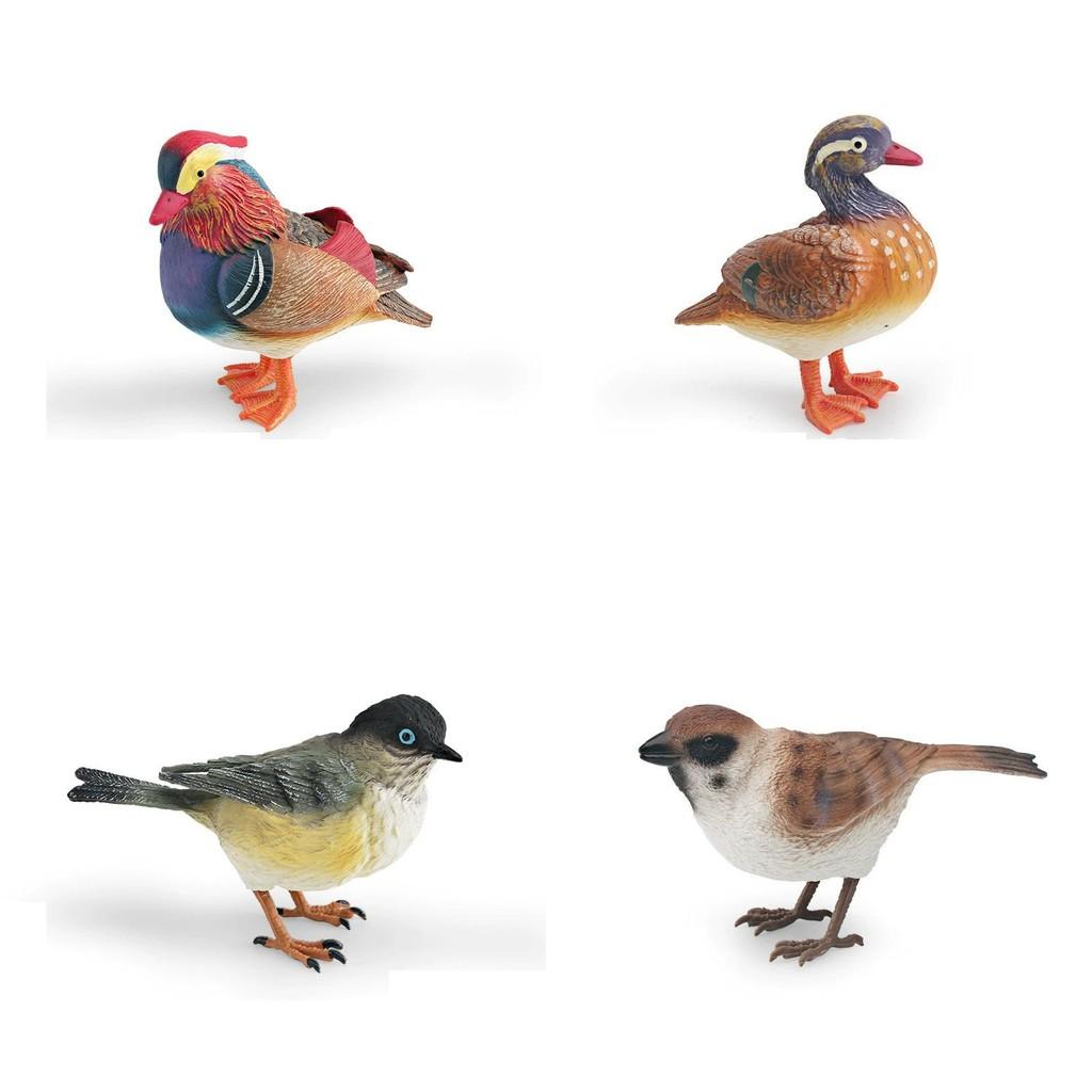 Animal Model Desktop Decor With Plastic Material For Educational Display And Bird Enthusiasts