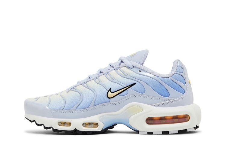 Nike Air Max Plus Daybreak (Women's)