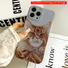 2DFlat Fluffy Ginger Cat Portrait Phone Case All Inclusive Film Hard iPhone Case, Compatible with iPhone 18 Pro Max 17 16 15 14 13 12 11