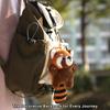 With Keyring Red Panda Keychain Plush Stuffed Doll Charm Raccoon Plush Pendant  Backpack Decoration