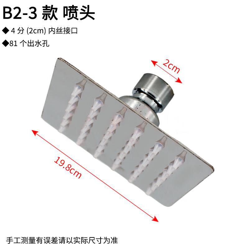Stainless Steel Shower Head