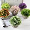 Simulate Potted Plant Cute Microlandschaft Home Office Hotel Decoration