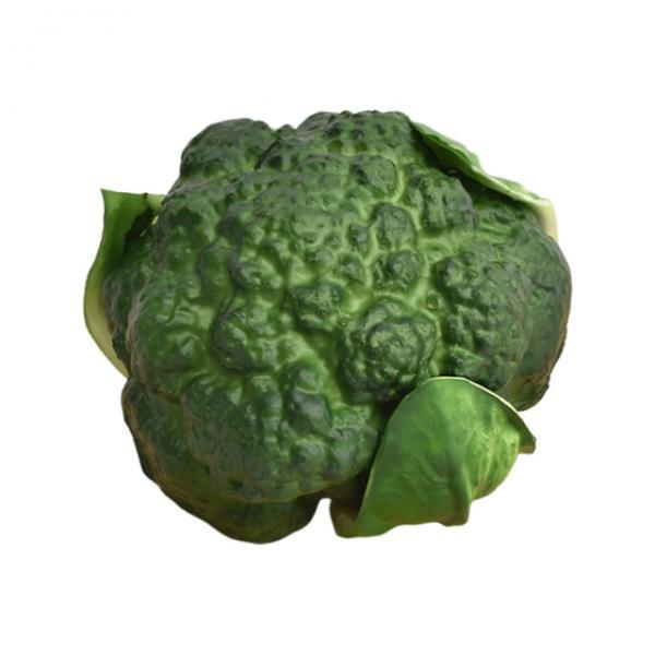 

Artificial Vegetable Photography Prop Lifelike Simulation Broccoli Vegetable Model Realistic for Supermarket Shop Centerpiece as describe