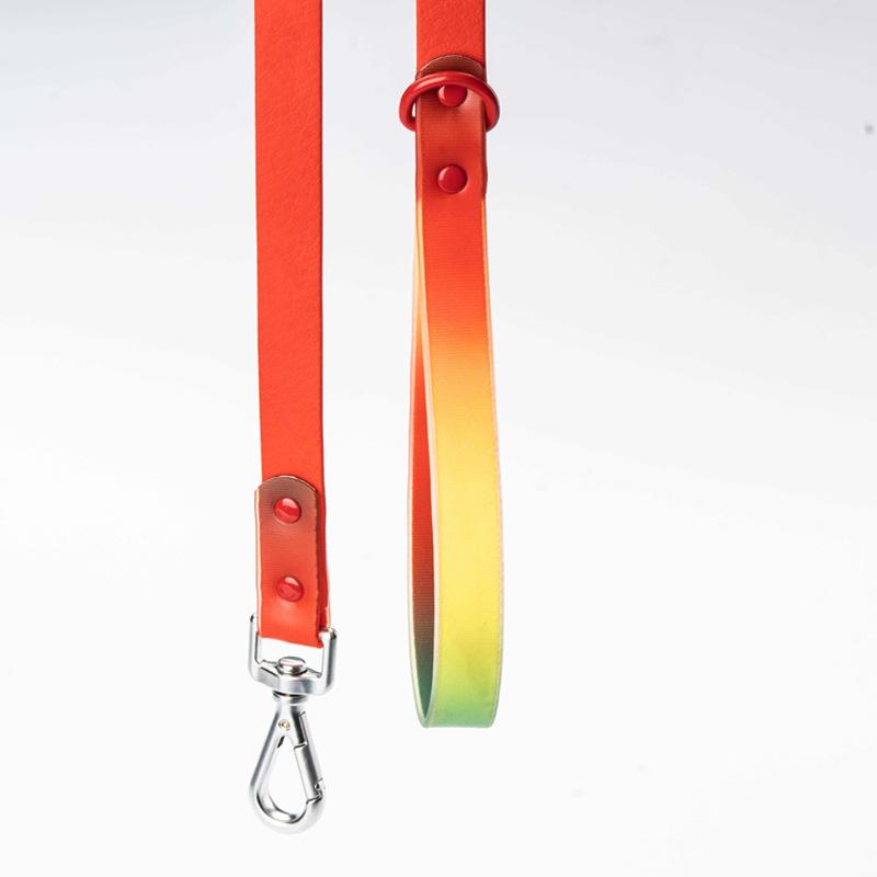 

Pet leash gradual change color training dog anti-escape walking dog rope outdoor tactical leash XS