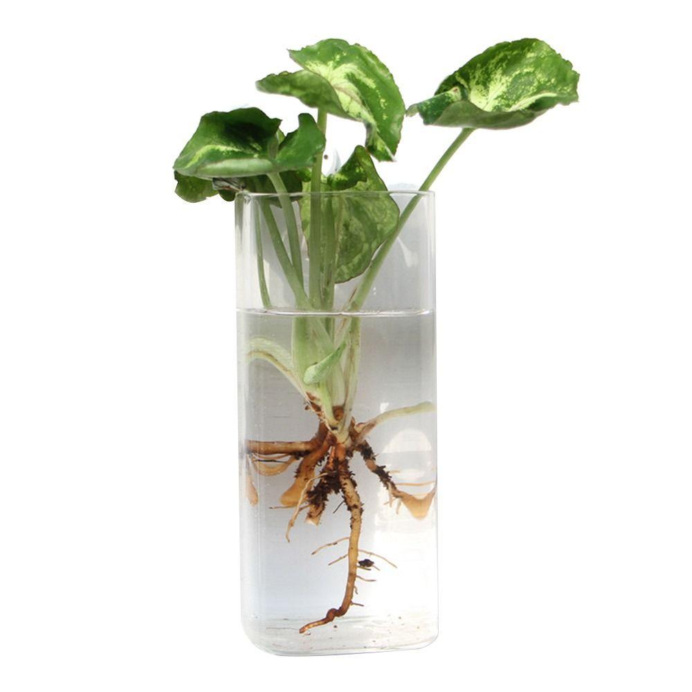 Hydroponics Plants Wall Hanging Vase Transparent Plant Propagation Vase  for Home Office Decor