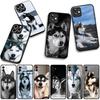 Cover for Xiaomi Redmi Note 14 12 13 ProPlus A4 A3 Pro Plus 12C 13C 14C 5G Phone Case Husky Pet Dog Wallpaper
